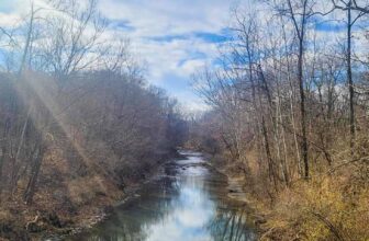 The Little Issues E-newsletter #445 – Life, ...