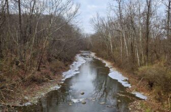 The Little Issues E-newsletter #446 – Life, ...