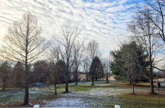 The Little Issues Publication #447 – Life, l...