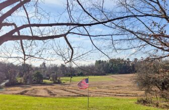 The Little Issues Publication #449 – Life, l...