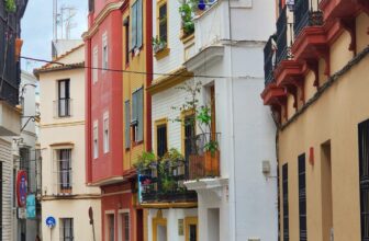 Wanting again on 2024 and my objectives for 2025