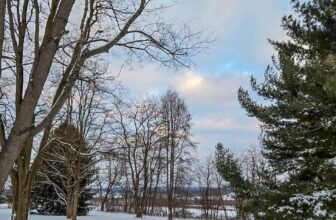 The Little Issues E-newsletter #450 – Life, ...