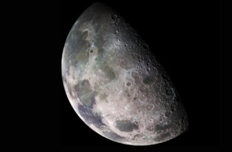 Watchdog Group Provides the Moon to Checklist of T...