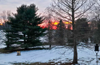 The Little Issues Publication #455 – Life, l...