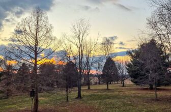 The Little Issues E-newsletter #458 – Life, ...