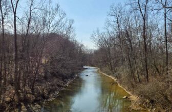 The Little Issues Publication #460 – Life, l...