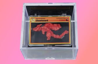 This Pokémon-shaped Cheeto simply offered for the...