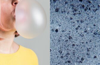 Chewing Gum Releases Hundreds of Microplastics Int...