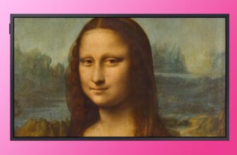 I made my TV look identical to The Body for a frac...