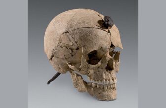 Severed Heads in Iron Age Iberia Weren’t Simply ...