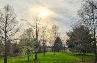 The Little Issues Publication #465 – Life, l...