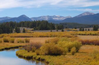 Scientists Are Sounding the Alarm Over Trump’s &...