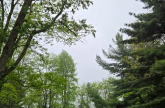 The Little Issues Publication #469 – Life, l...