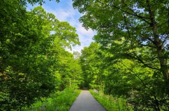 The Little Issues Publication #471 – Life, l...