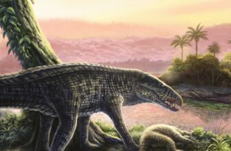 Sprinting Crocs With ‘Legs Like Greyhounds&#...