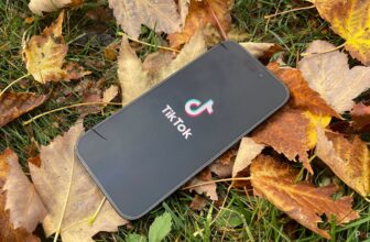 Paradoxically, TikTok could have discovered a reme...