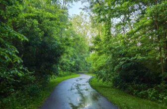 The Little Issues E-newsletter #472 – Life, ...