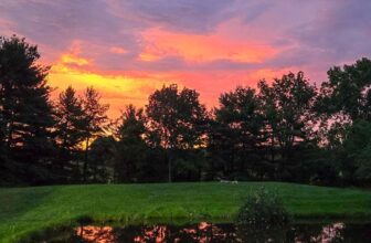 The Little Issues E-newsletter #475 – Life, ...