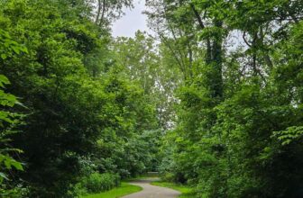 The Little Issues Publication #477 – Life, l...