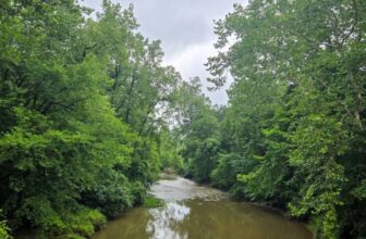 The Little Issues Publication #480 – Life, l...