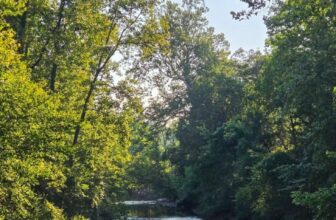 The Little Issues E-newsletter #483 – Life, ...