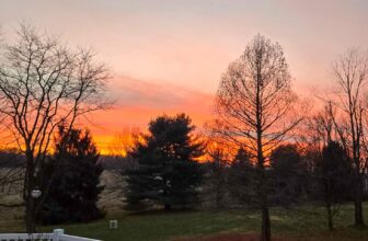 The Little Issues Publication #501 – Life, l...