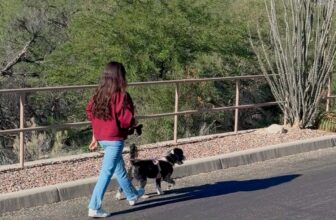 Low-Effort Wellness Habits That Really Make a Dist...