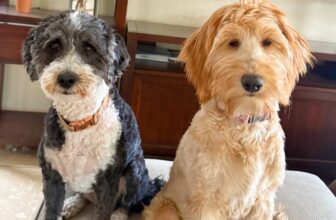 4.17 Friday Faves – The Fitnessista