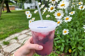 Simple Mocktails – Barefeet within the Kitch...